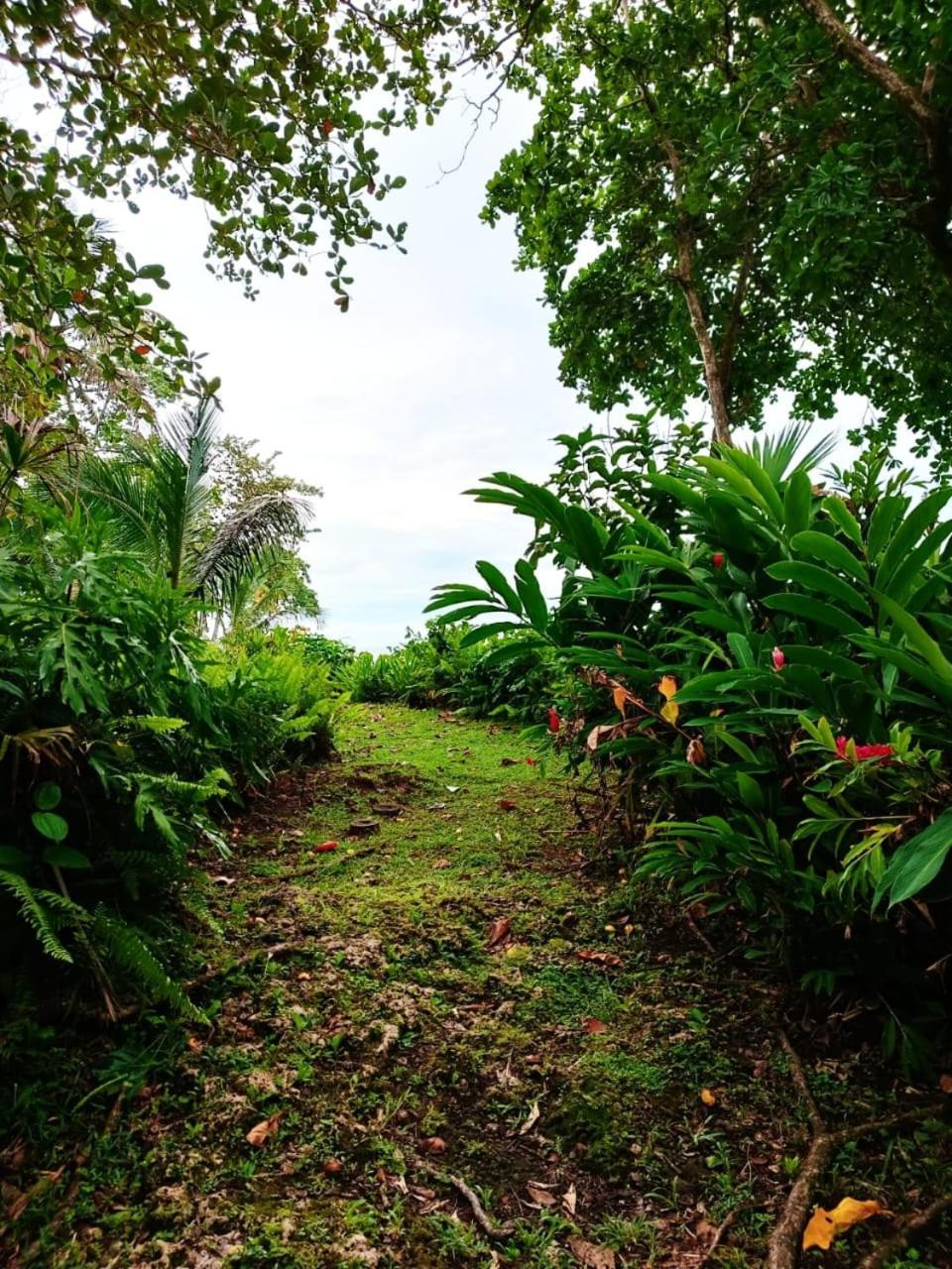Hotel La Diosa Cahuita Exterior foto