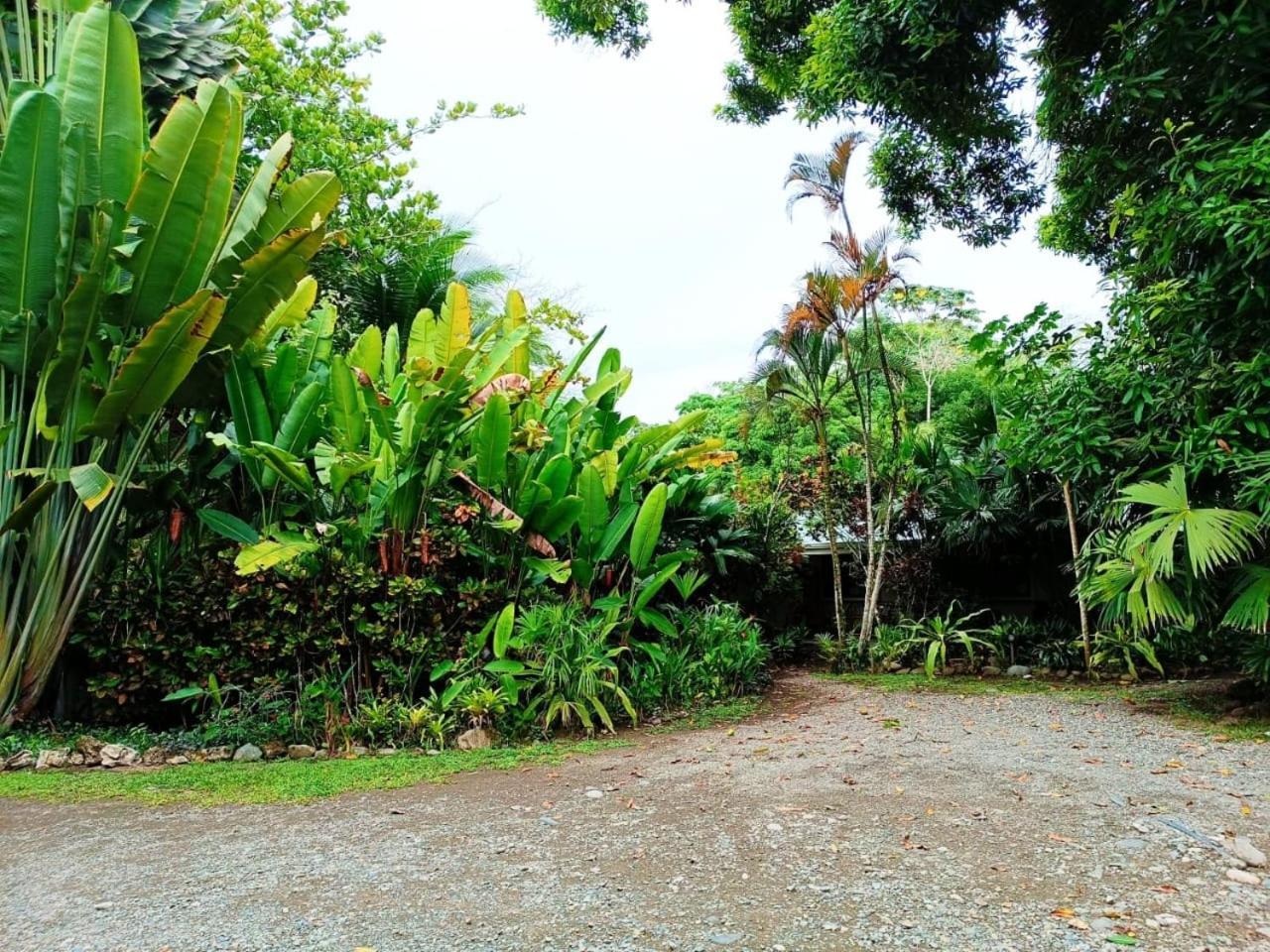 Hotel La Diosa Cahuita Exterior foto